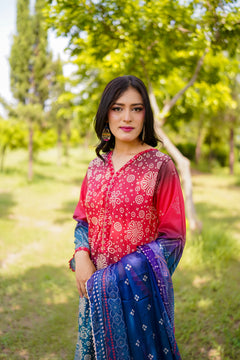 Khatoon Red & Blue Printed 3-Piece Suit