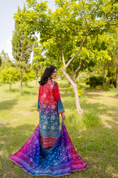 Khatoon Red & Blue Printed 3-Piece Suit