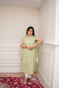 Pistachio Green Embroidered Suit with Dupatta