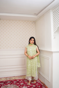 Pistachio Green Embroidered Suit with Dupatta